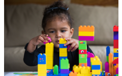 BiOBUDDi Education Big bouwblokken 500 stuks