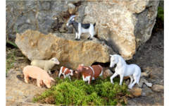 Dierenset, 26 delig