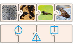 Puzzel levenscycli