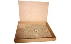 Stekkels | Sensorische Kist, blank gelakt, 40 x 60 x 8 cm