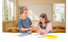 Euro-geldkoffer 130 bankbiljetten + 160 munten, in RE-Wood® doos
