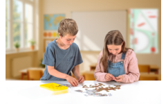 Euro-geldkoffer 130 bankbiljetten + 160 munten, in RE-Wood® doos