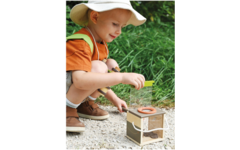Houten Insectendoos Discover