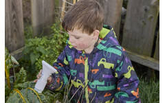 Microscoop met scherm