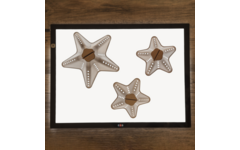 Stapelkegels Eco 20 stuks