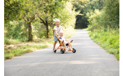 TopTrike Buggy