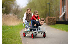 Stuurduwwagen maxi gegalvaniseerd
