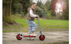 Ministep gegalvaniseerd