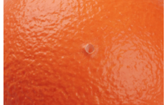 Bal | DRAGONSKIN Soft, Ø 12 cm, 45 g, neon oranje