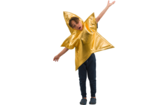Verkleedkleding ster, 3-7 jaar
