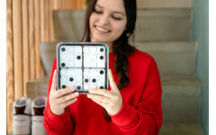 Dice Deduction
