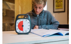 Time timer plus