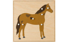 Dierenpuzzel paard