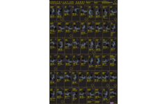 Sterrenbeeldkaarten, 54 stuks