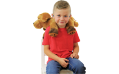 Theo the Therapy Dog, 1 pluche hond