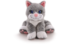 Chloé de pluche therapie kat