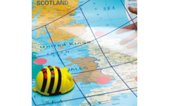 Bee-Bot en Blue-Bot Transparante mat