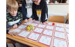 Transparante mat voor Bee-Bot – Blue-Bot en Cubetto