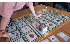 Transparante mat voor Bee-Bot – Blue-Bot en Cubetto
