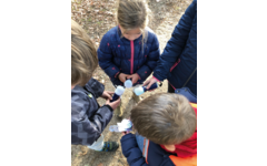 Picoo Premium EDU Set