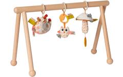 Babygym Earth