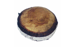 Kussen indoor Noorse berk, 40 cm breed