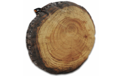 Kussen indoor Forest, 10 cm hoog, 60 cm breed