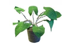Plant van vilt, Zebrina