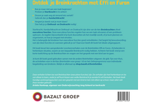 Ontdek je Breinkrachten met Effi en Furon