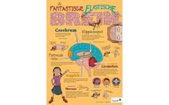 Poster Je Fantastische Elastische Brein (set van 5)