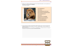 Een schat aan informatie (5 stuks)