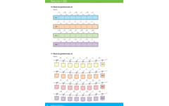 Kerndoeltrainer Getallen & Getalrelaties C (5 stuks)