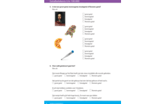 Kerndoeltrainer Getallen & Getalrelaties E (5 stuks)
