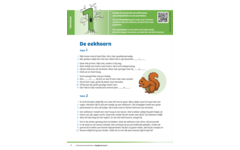 Kerndoeltrainer Begrijpend Lezen B