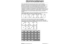 Logische breinbrekers large (5 stuks)