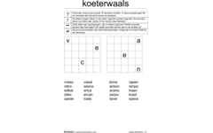 Logische breinbrekers large (5 stuks)
