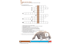 Kerndoeltrainer Tijdvak werkboek groep 6 (5 stuks)