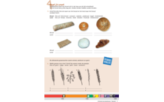 Kerndoeltrainer Tijdvak werkboek groep 8 (5 stuks)