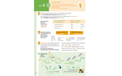Kerndoeltrainer Woordenschat C (5 stuks)