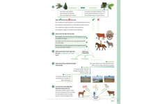 Kerndoeltrainer Woordenschat C (5 stuks)