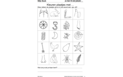 Mijn Boek groep 4 (5 stuks)