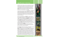 Blokboek natuur groep 6 (5 stuks)