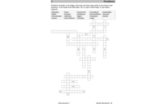 Natuurpuzzels groep 7 (5 stuks)