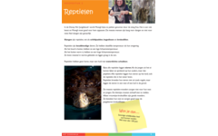 Dierenrijk werkgids