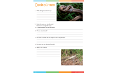 Dierenrijk werkgids