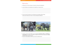 Evolutie werkgids (5 stuks)