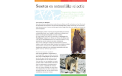 Evolutie werkgids (5 stuks)