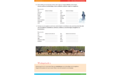 Evolutie werkgids (5 stuks)