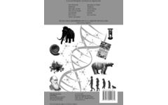 Evolutie handleiding