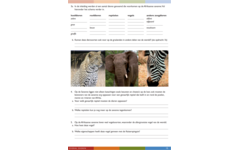 Overal dieren werkgids (5 stuks)